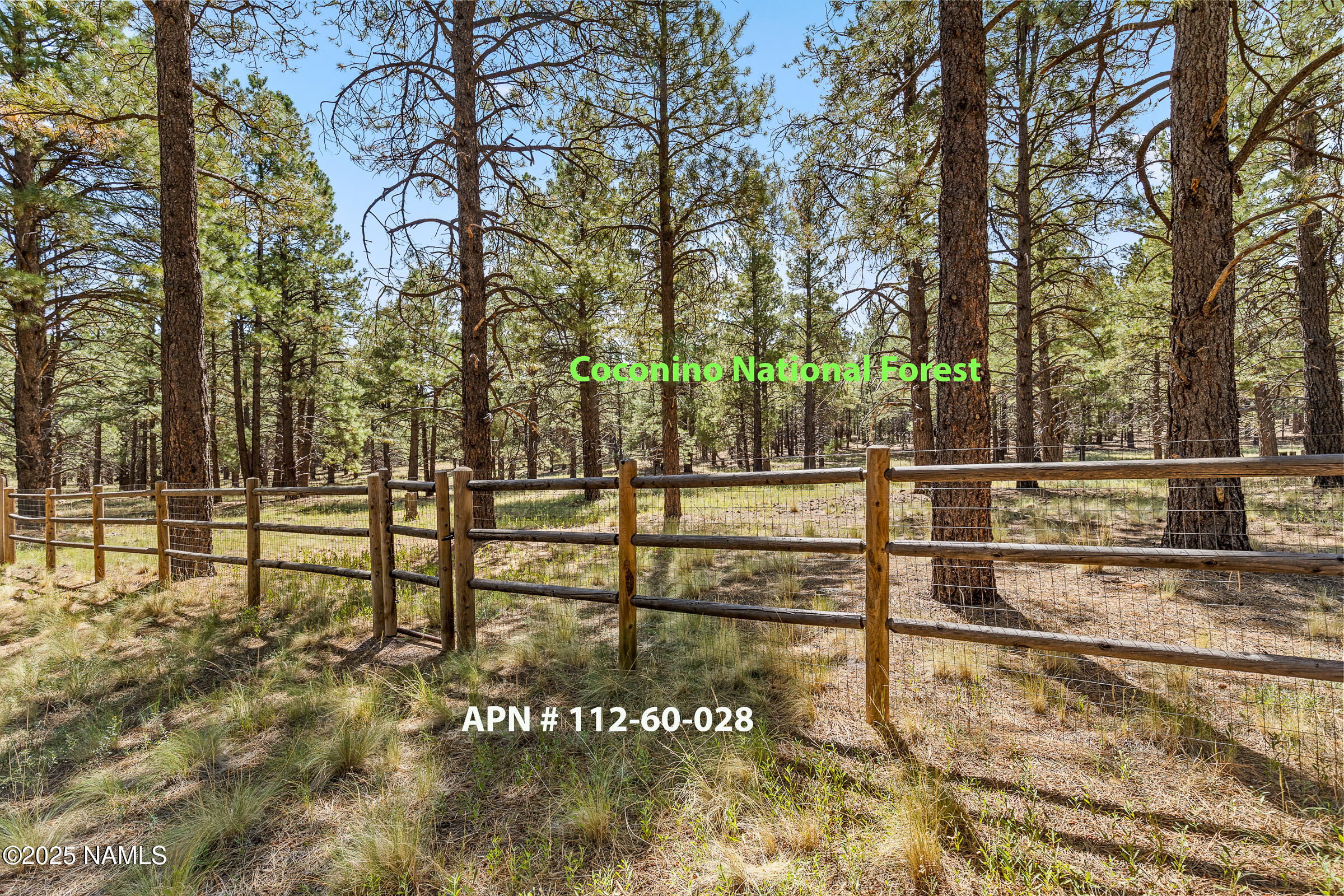 3 East Quartz Road Flagstaff, AZ 86005 - Photo 34 of 40 National Forest Access