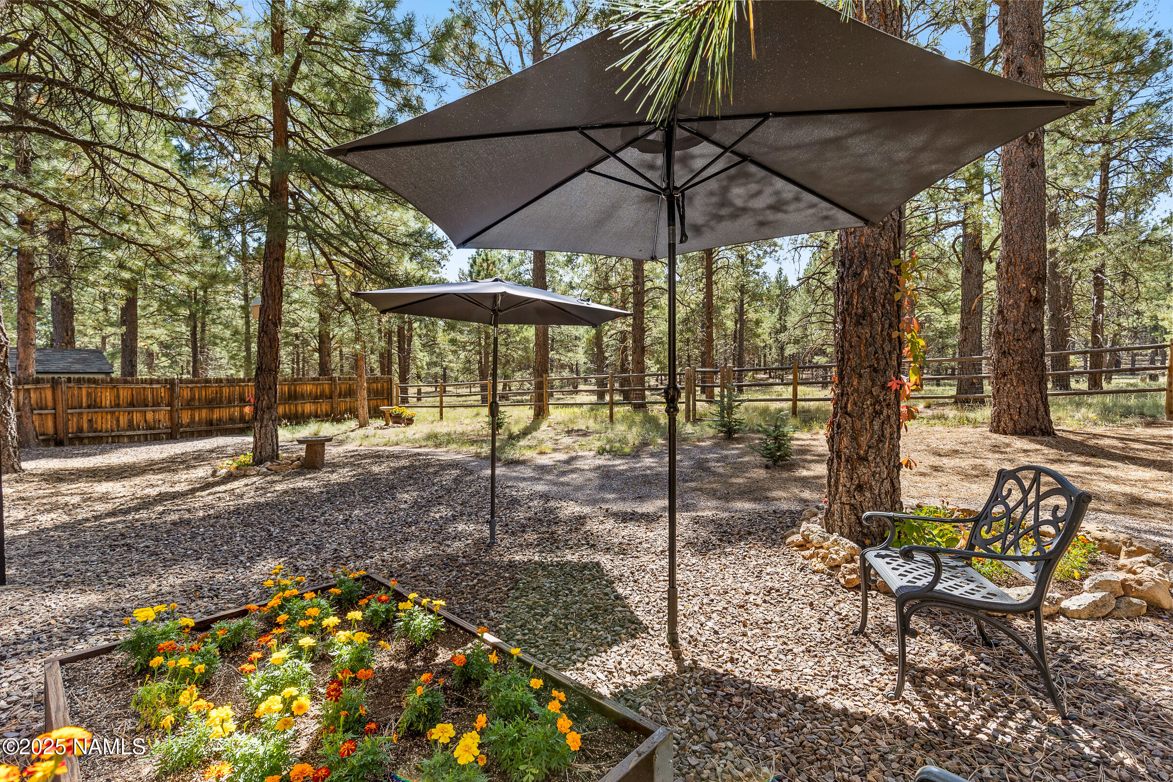3 East Quartz Road Flagstaff, AZ 86005 - Photo 37 of 40 Backyard