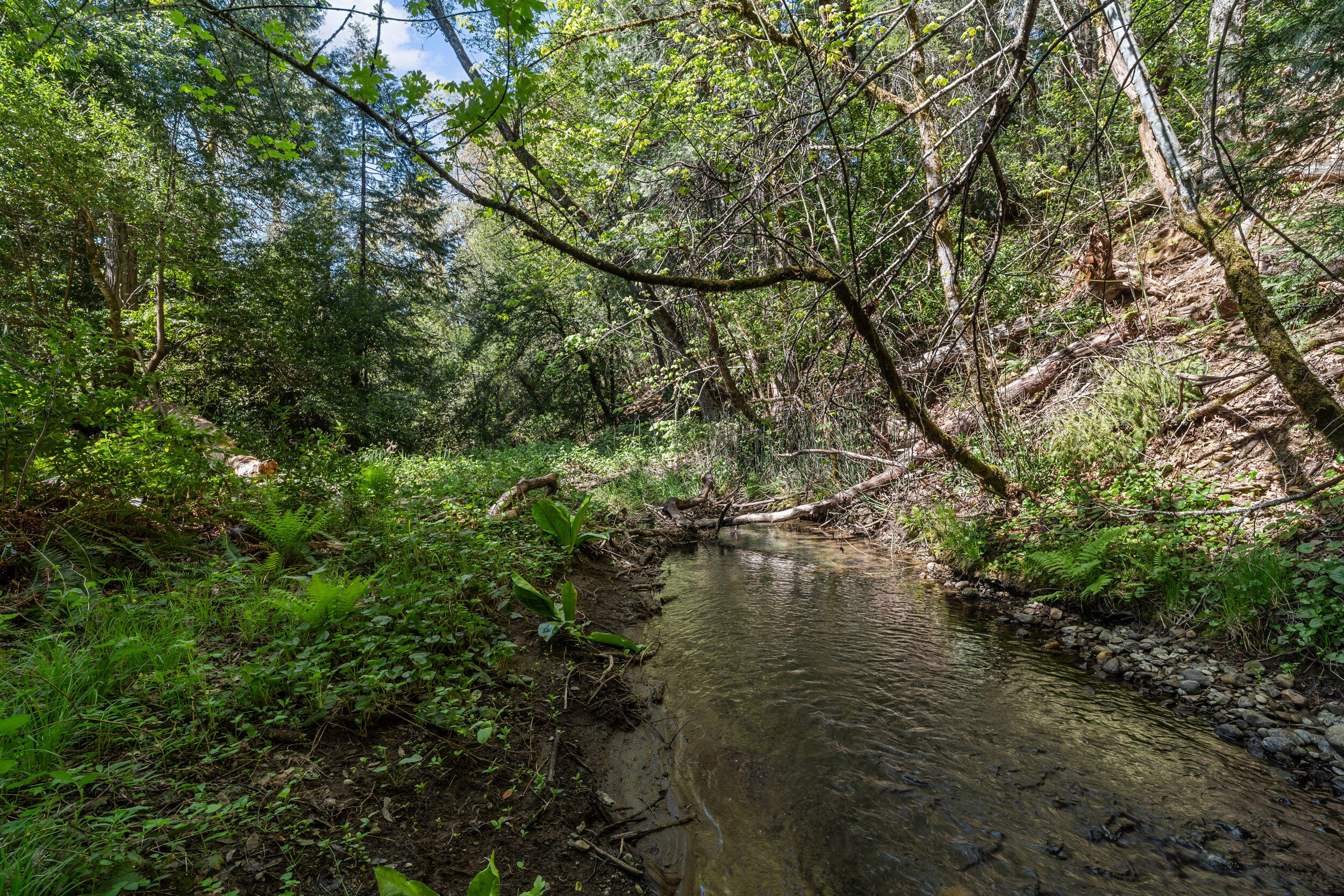 4820 Dick George Road Cave Junction, OR 97523 - Photo 41 of 50 4_4820 dick george road - 04