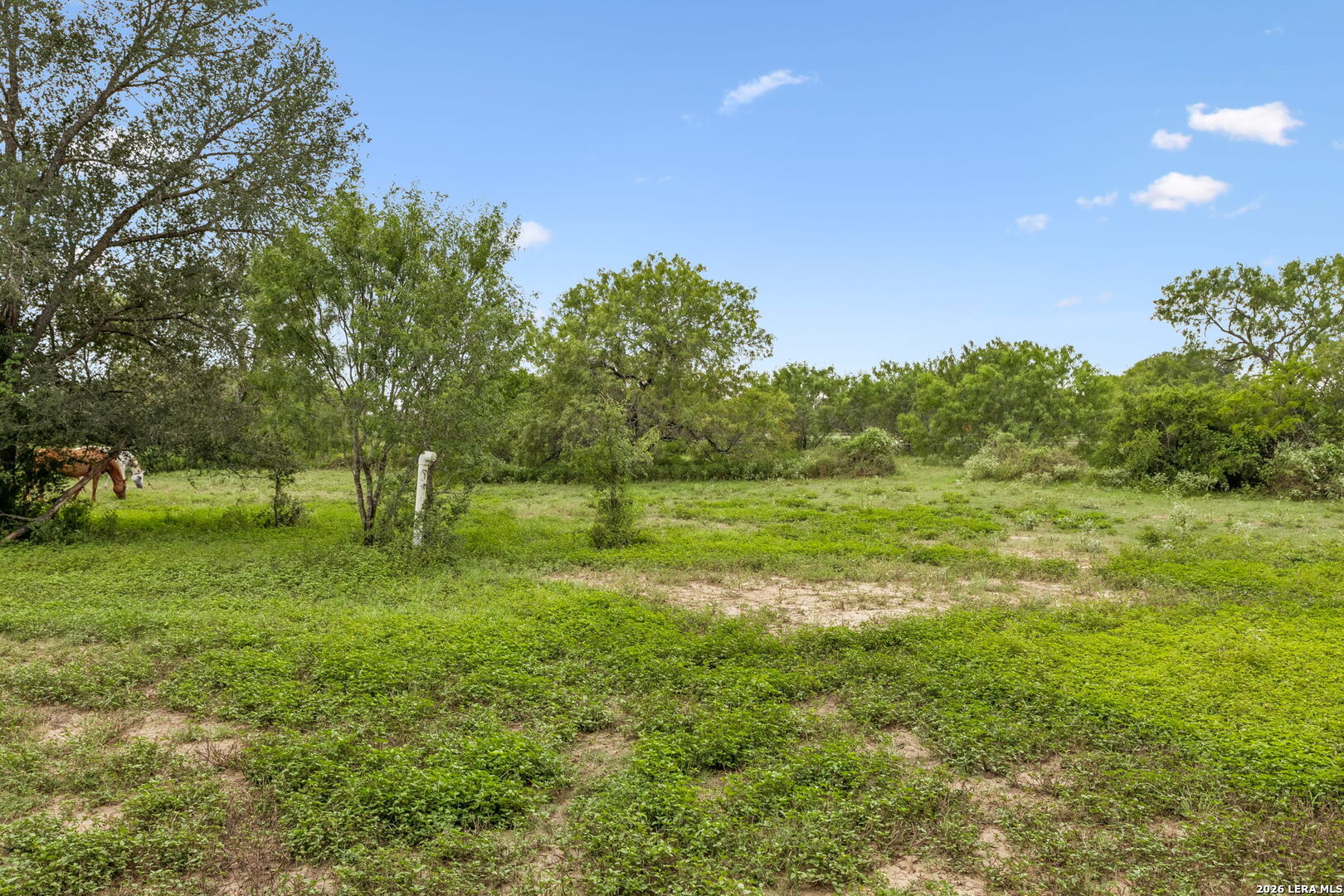 3285 Pittman Road St. Hedwig, TX 78152 - Photo 10 of 36 Gallery Image 10