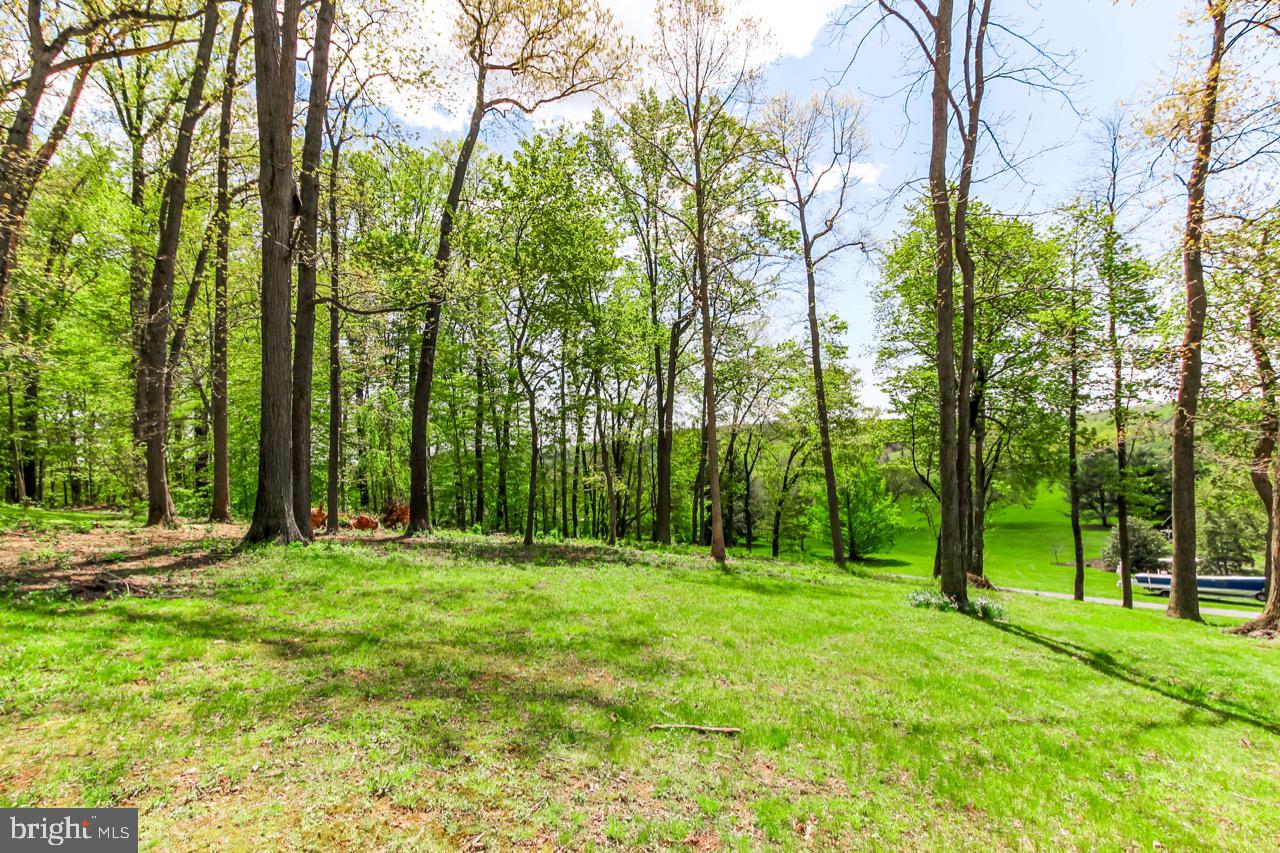627 Walters Mill Road Forest Hill, MD 21050 - Photo 33 of 37 Gallery Image 33