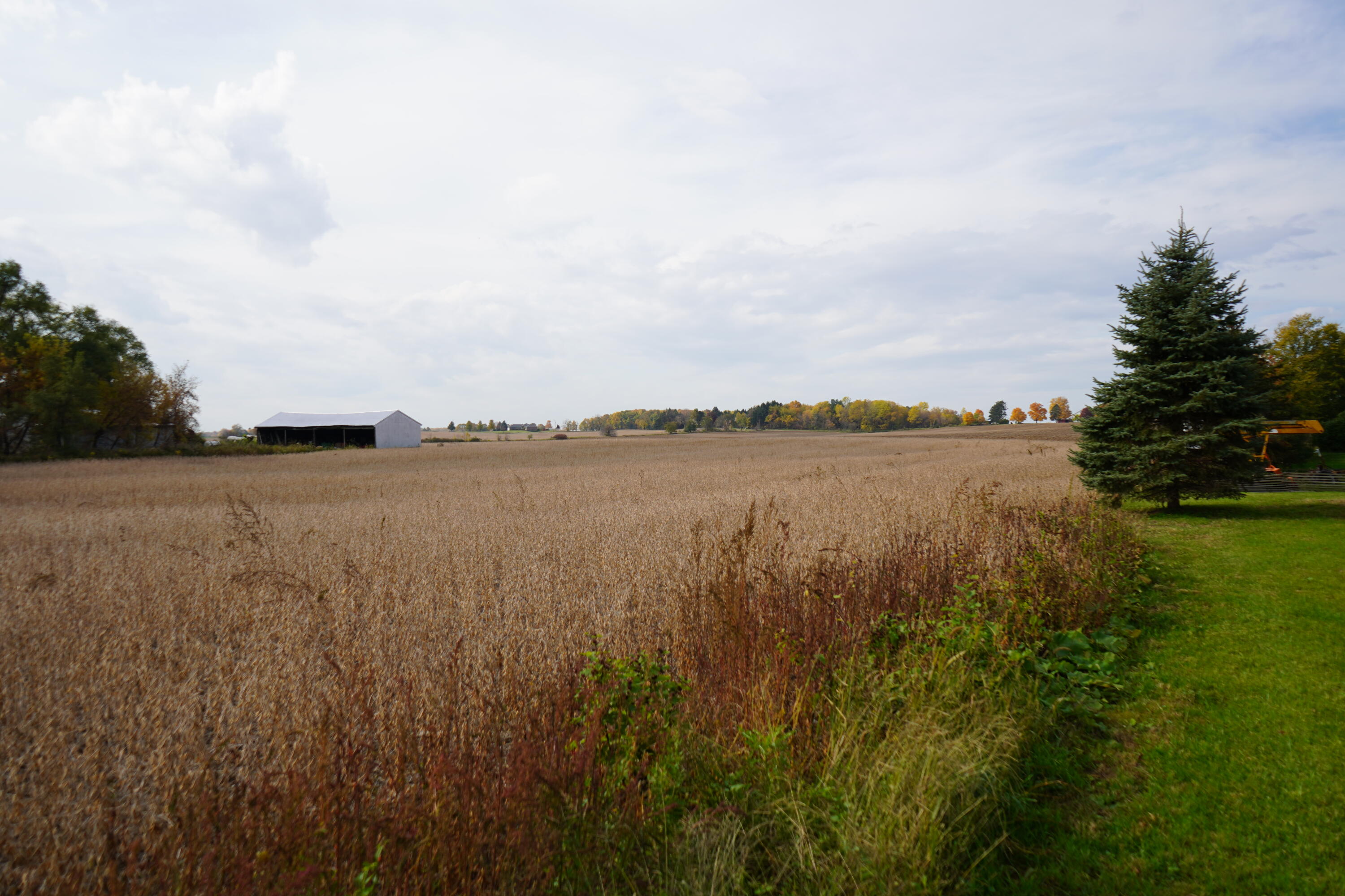 6152 South State Road Ashley, MI 48806 - Photo 10 of 14 DSC02731