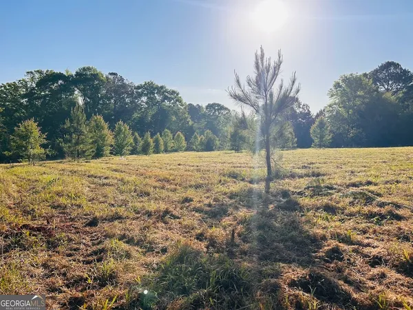 a view of dirt field with trees