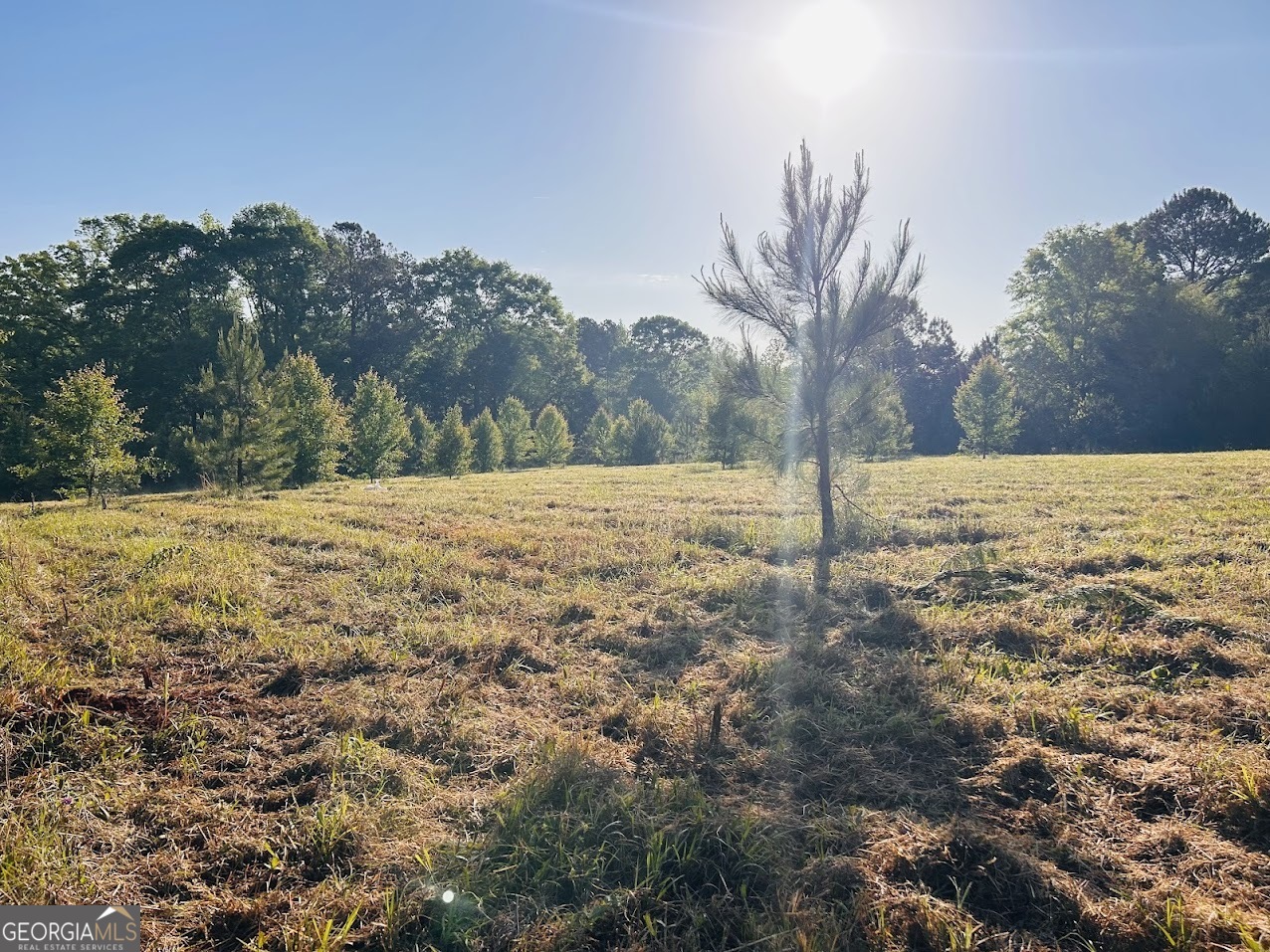 a view of dirt field with trees