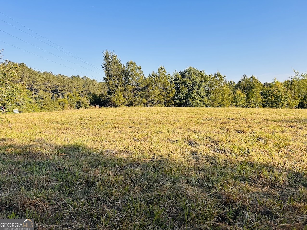 0 Collier Road, Unit TRACT 1 Concord, GA 30206 - Photo 11 of 20 a view of an ocean