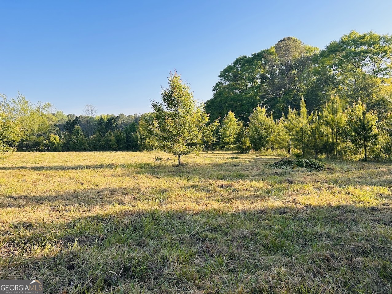 0 Collier Road, Unit TRACT 1 Concord, GA 30206 - Photo 12 of 20 a view of a lake view
