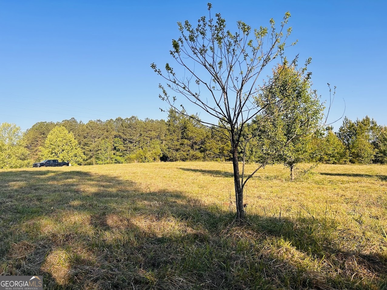 0 Collier Road, Unit TRACT 1 Concord, GA 30206 - Photo 13 of 20 a view of ocean view with large trees