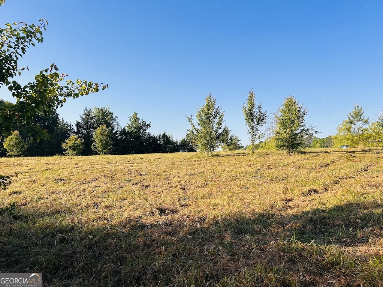 0 Collier Road, Unit TRACT 1 Concord, GA 30206 - Photo 15 of 20