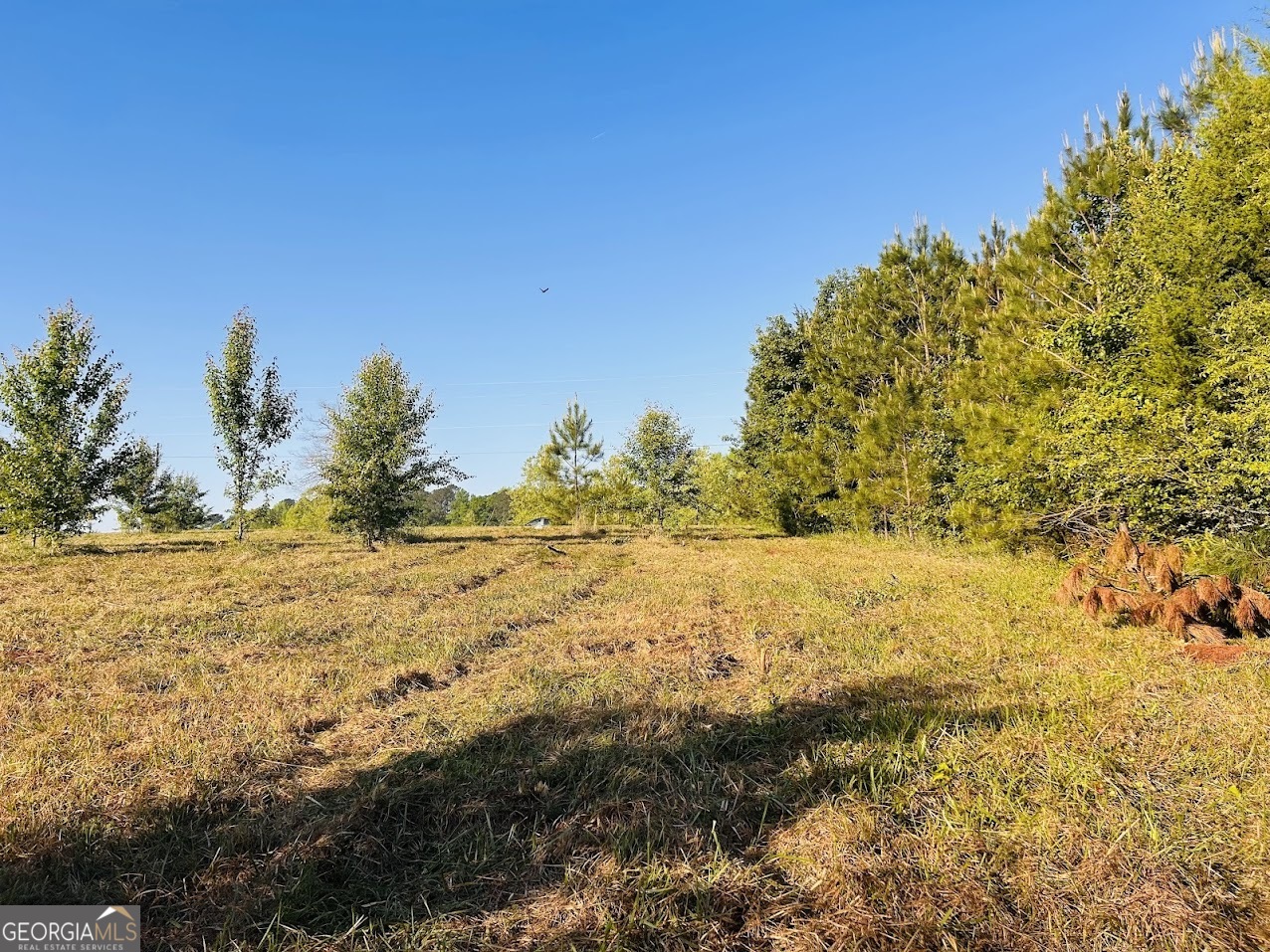 0 Collier Road, Unit TRACT 1 Concord, GA 30206 - Photo 16 of 20