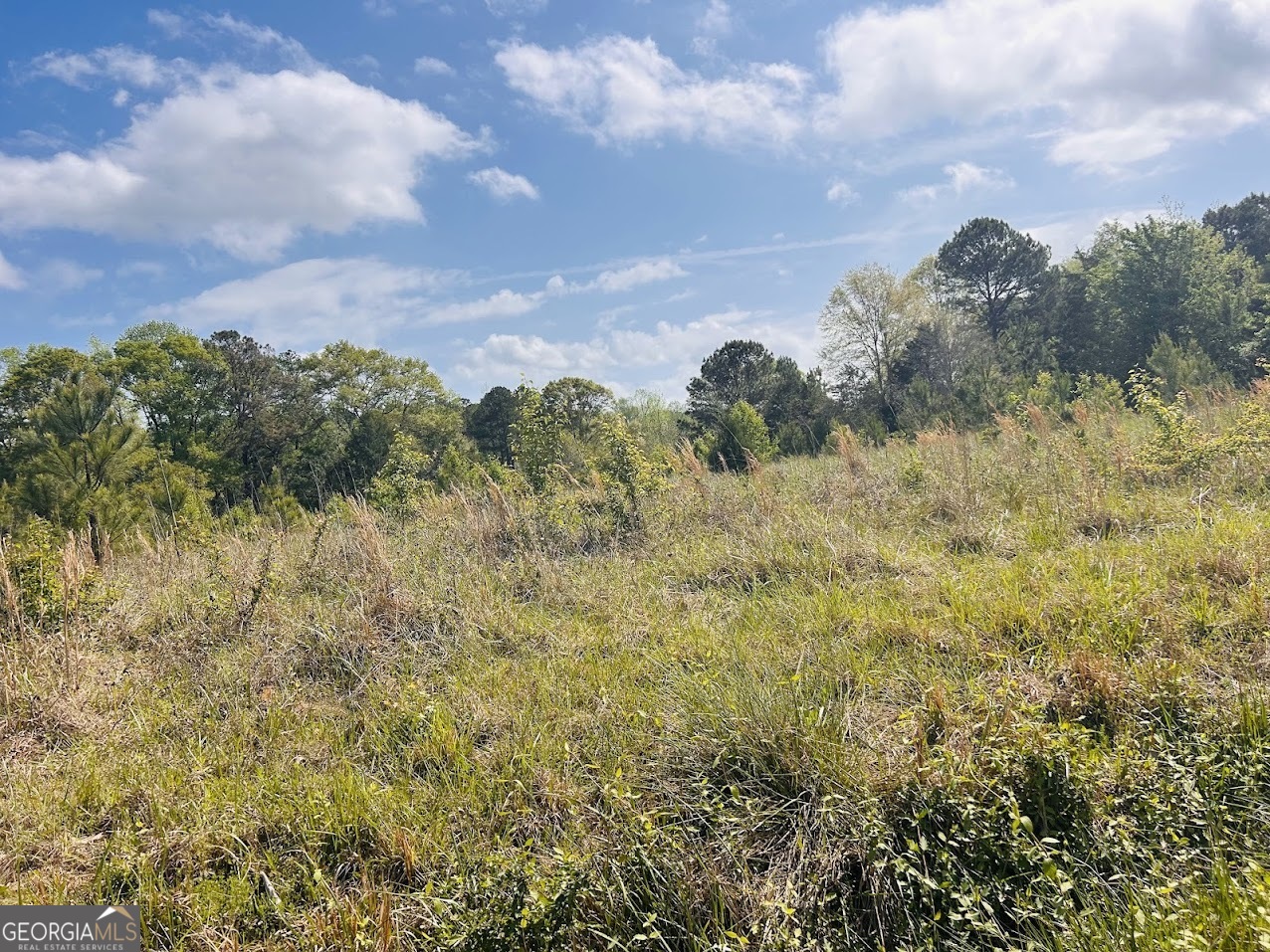 0 Collier Road, Unit TRACT 1 Concord, GA 30206 - Photo 2 of 20 a view of a bunch of trees and bushes