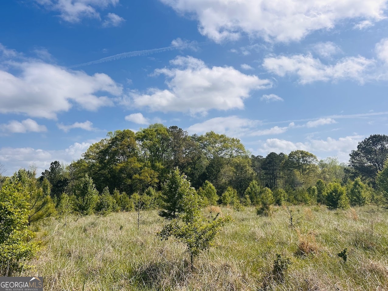 0 Collier Road, Unit TRACT 1 Concord, GA 30206 - Photo 3 of 20 a view of a bunch of trees in a field