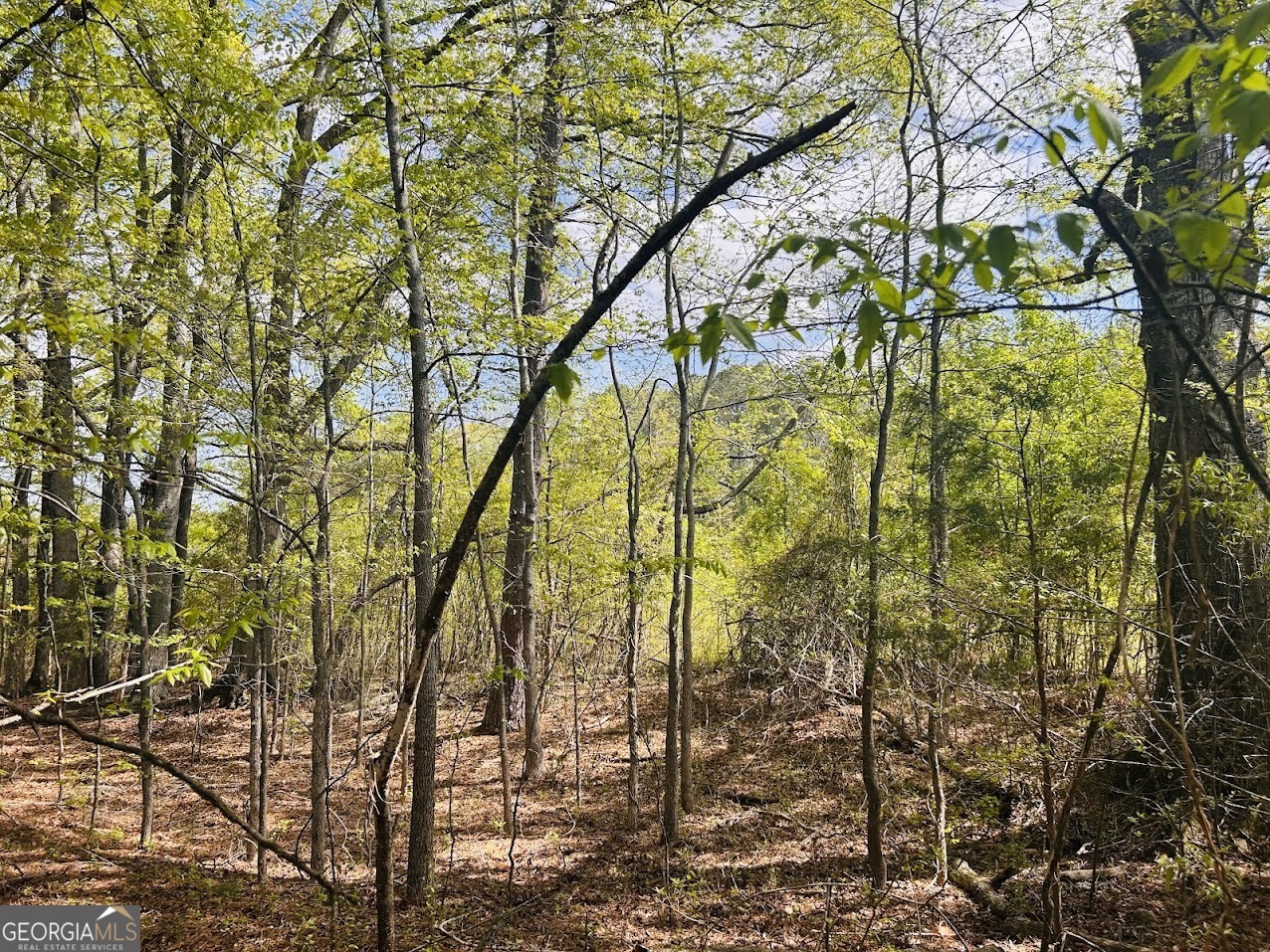 0 Collier Road, Unit TRACT 1 Concord, GA 30206 - Photo 5 of 20 a backyard of a house with lots of trees