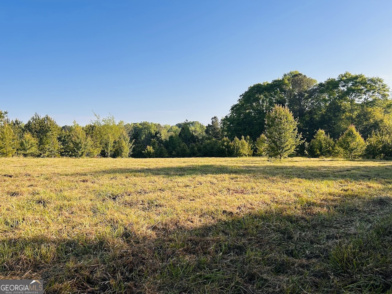 0 Collier Road, Unit TRACT 1 Concord, GA 30206 - Photo 10 of 20 a view of an outdoor space and a yard