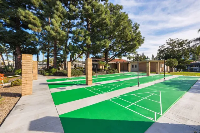 a green field with trees in the background