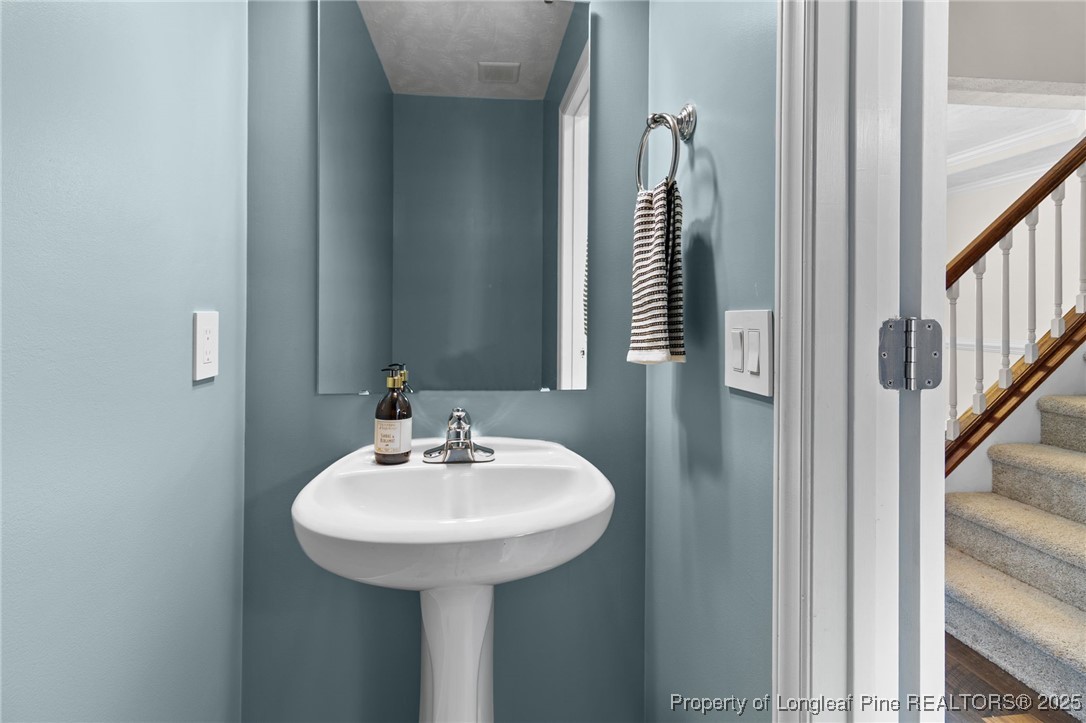 43 Ambrose Point Cameron, NC 28326 - Photo 16 of 45 a bathroom with a sink and a mirror