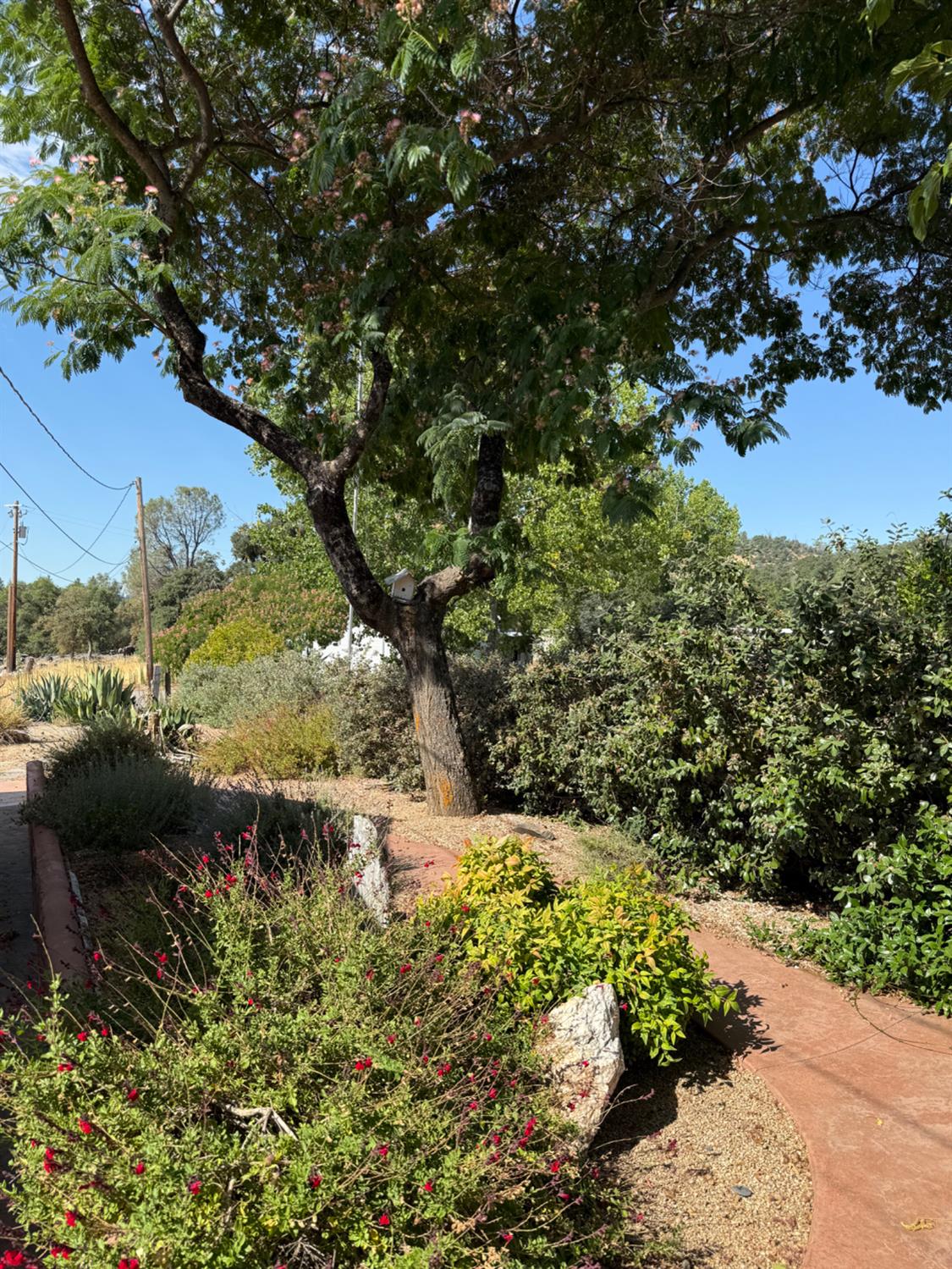 1026 Coyote Creek Road Murphys, CA 95247 - Photo 30 of 52