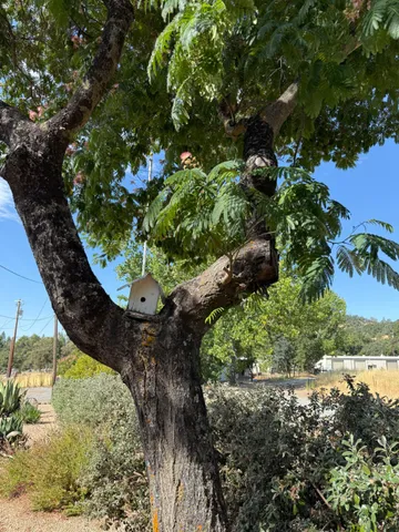 $549,000 | 1026 Coyote Creek Road, Murphys, CA 95247