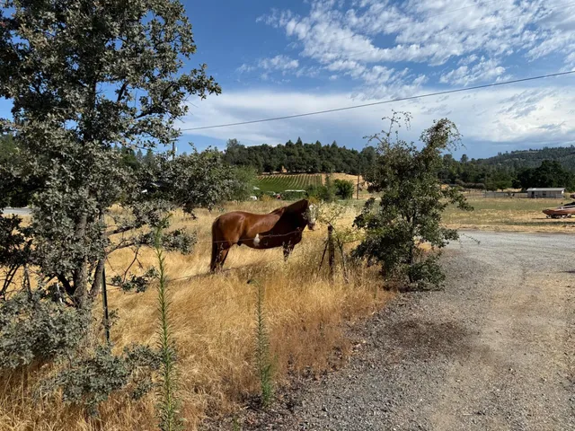 $549,000 | 1026 Coyote Creek Road, Murphys, CA 95247