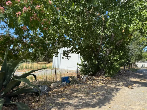 a view of a tree in front of a house