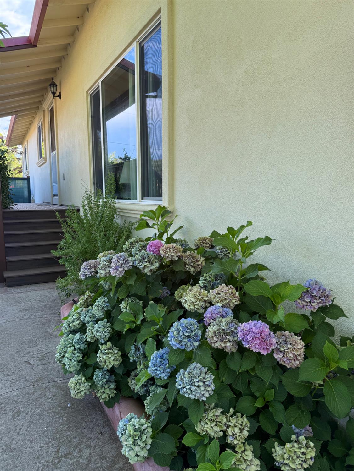 1026 Coyote Creek Road Murphys, CA 95247 - Photo 44 of 52