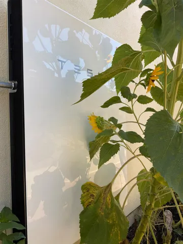 $549,000 | 1026 Coyote Creek Road, Murphys, CA 95247