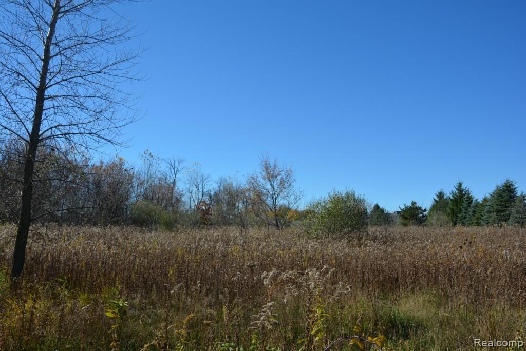 Vac Kidder Road Almont, MI 48003 - Photo 1 of 45
