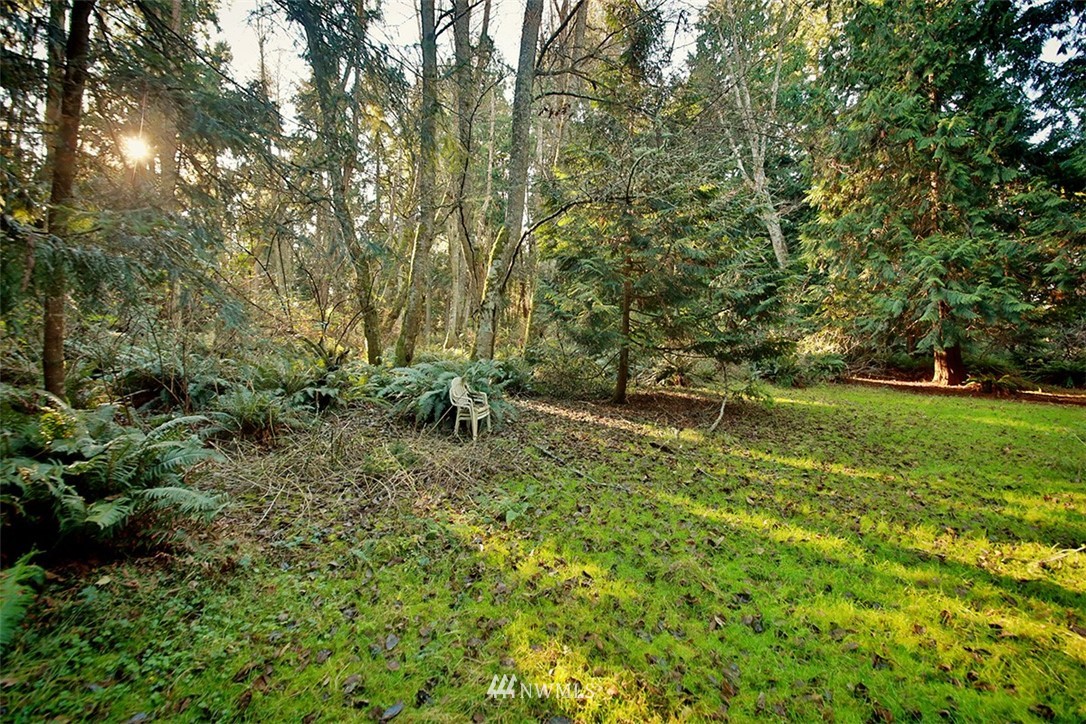 5099 View Road Langley, WA 98260 - Photo 3 of 34 Gallery Image 3