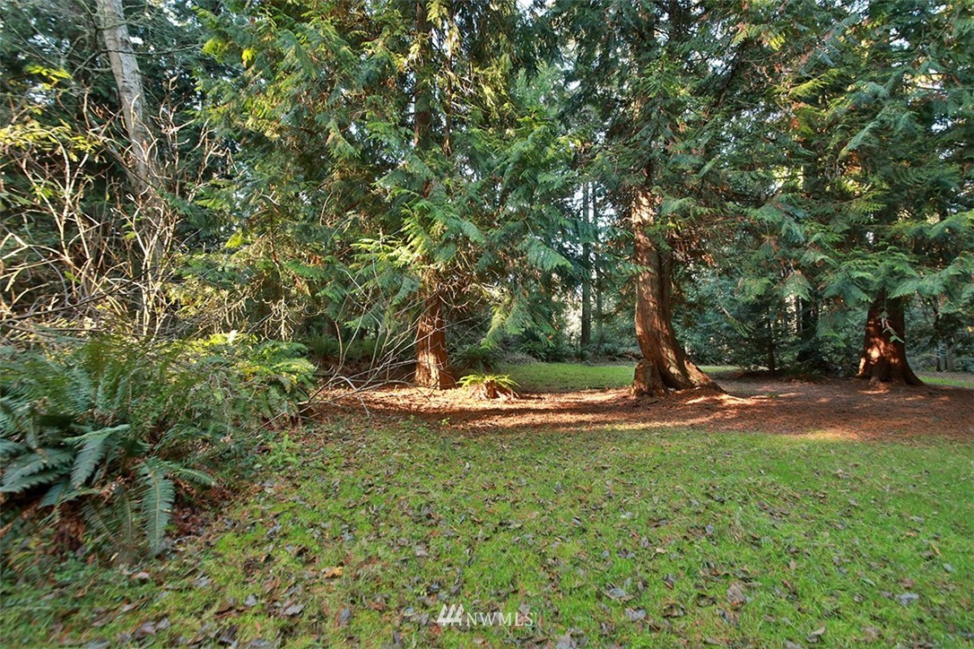 5099 View Road Langley, WA 98260 - Photo 8 of 34 Gallery Image 8