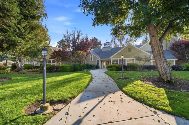 a view of a park with large trees