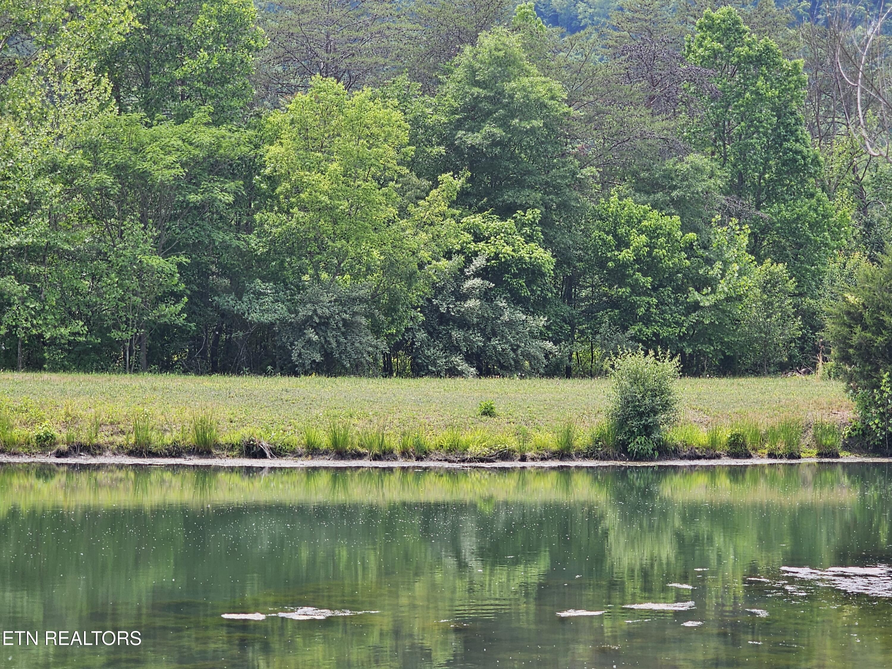 275 Republican Hill Road Newcomb, TN 37819 - Photo 24 of 34 Pond