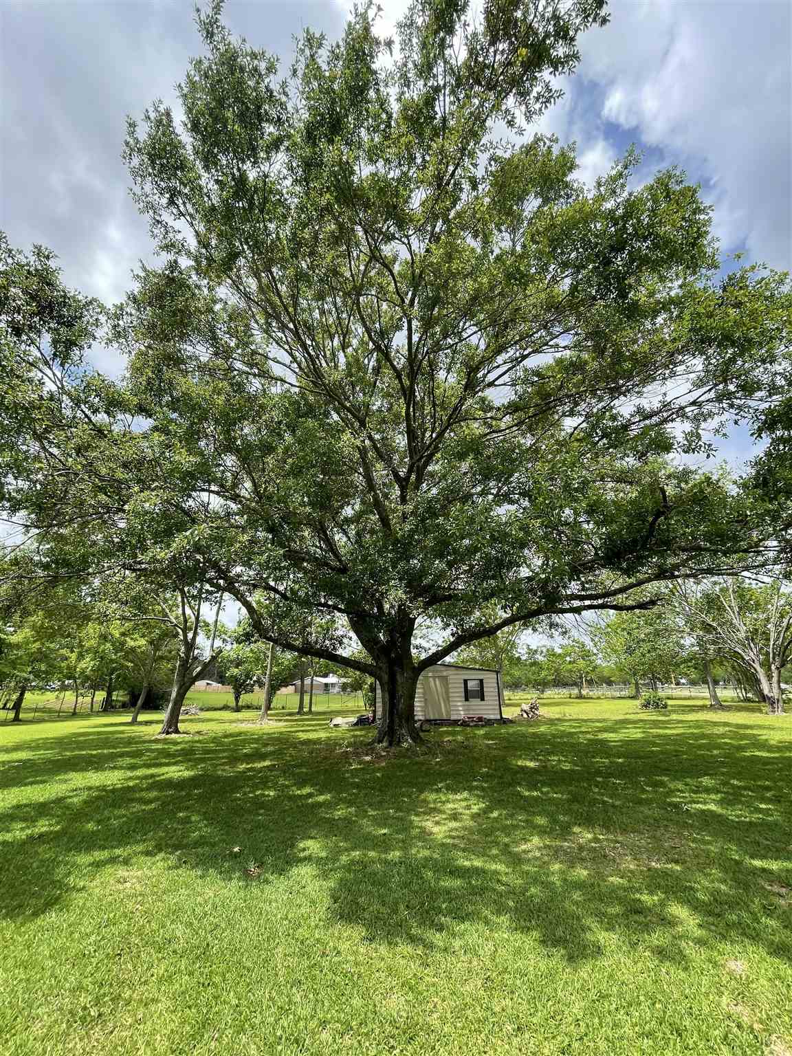 24357 County Road 85, Unit 85 Robertsdale, AL 36567 - Photo 14 of 16