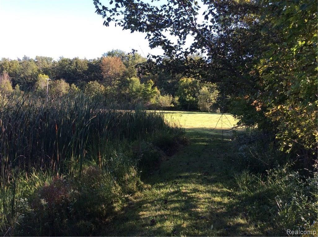 14756 Terry Road Allenton, MI 48002 - Photo 9 of 42 image.jpeg