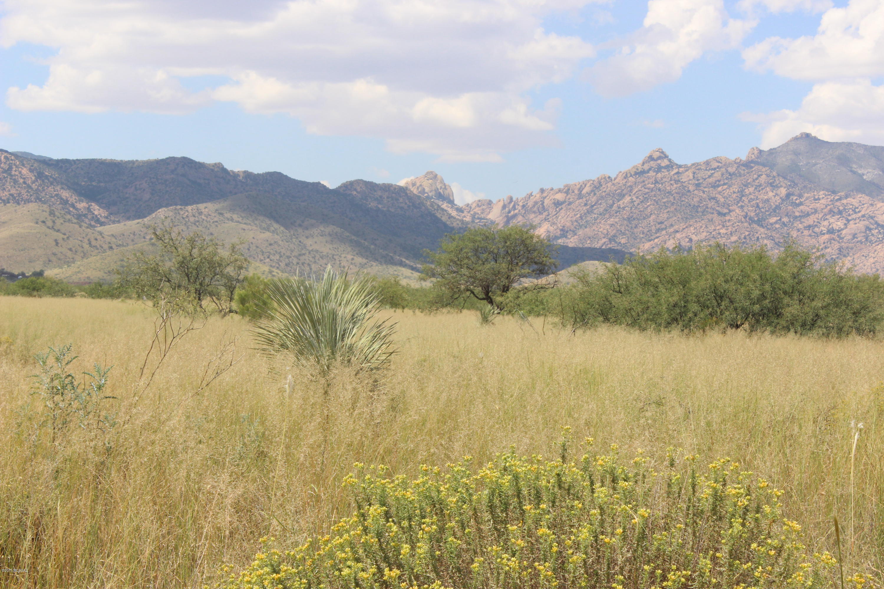 245 Willcox Road, Unit 256/2 Pearce, AZ 85625 - Photo 5 of 10