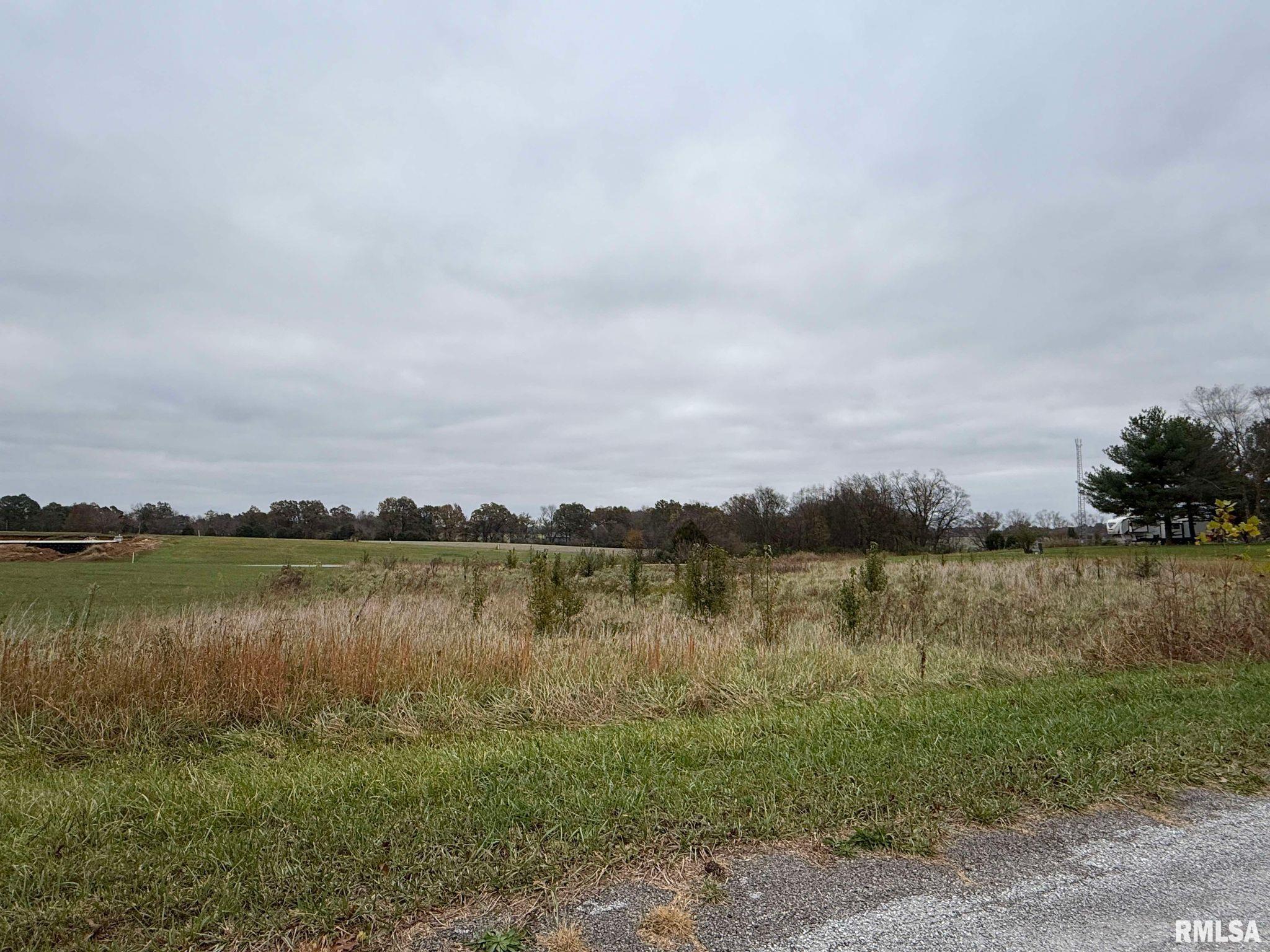 0 Clark Lane Metropolis, IL 62960 - Photo 2 of 7