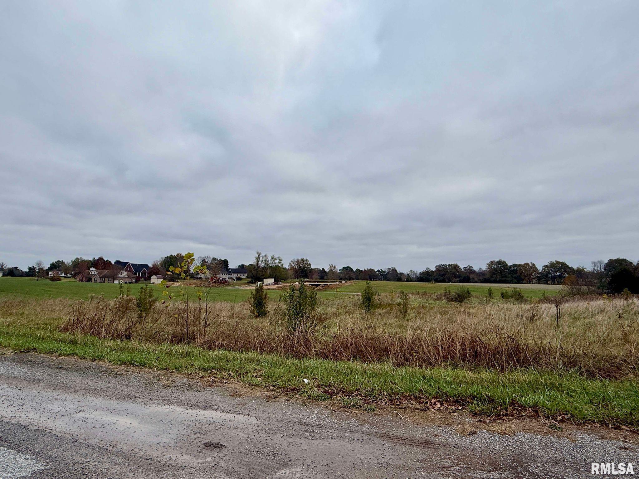 0 Clark Lane Metropolis, IL 62960 - Photo 3 of 7