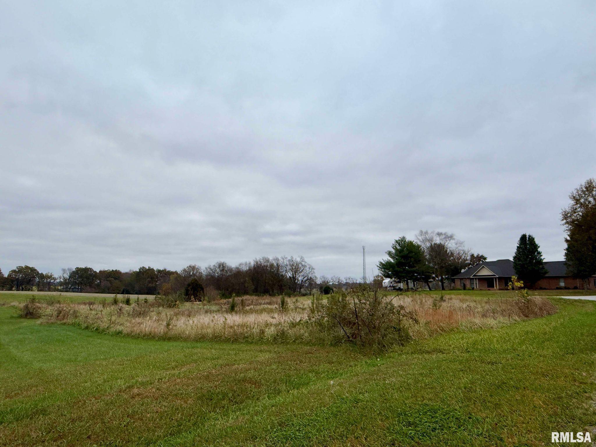 0 Clark Lane Metropolis, IL 62960 - Photo 4 of 7