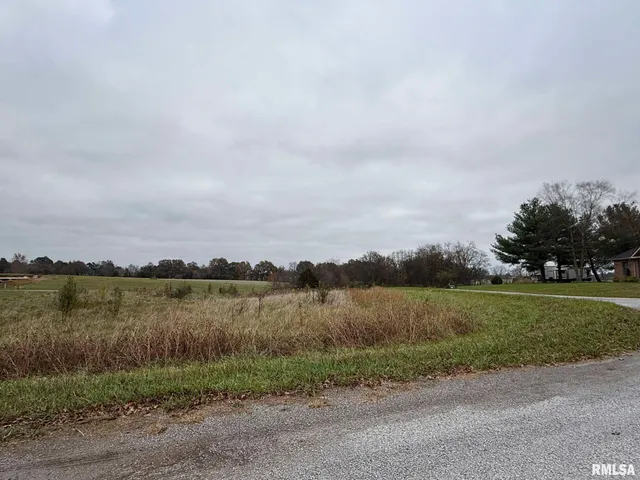 $19,900 | 0 Clark Lane, Metropolis, IL 62960