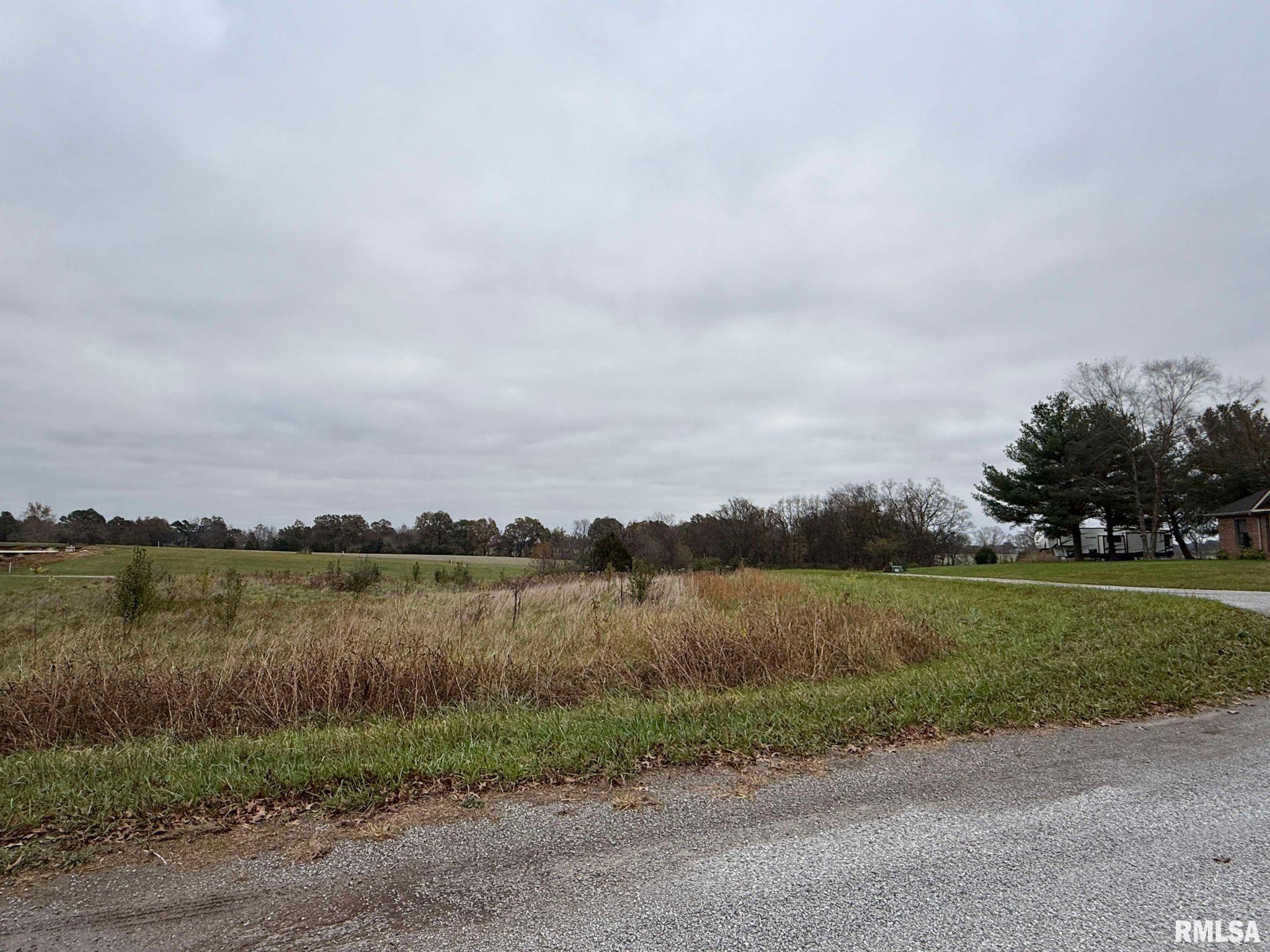 0 Clark Lane Metropolis, IL 62960 - Photo 5 of 7