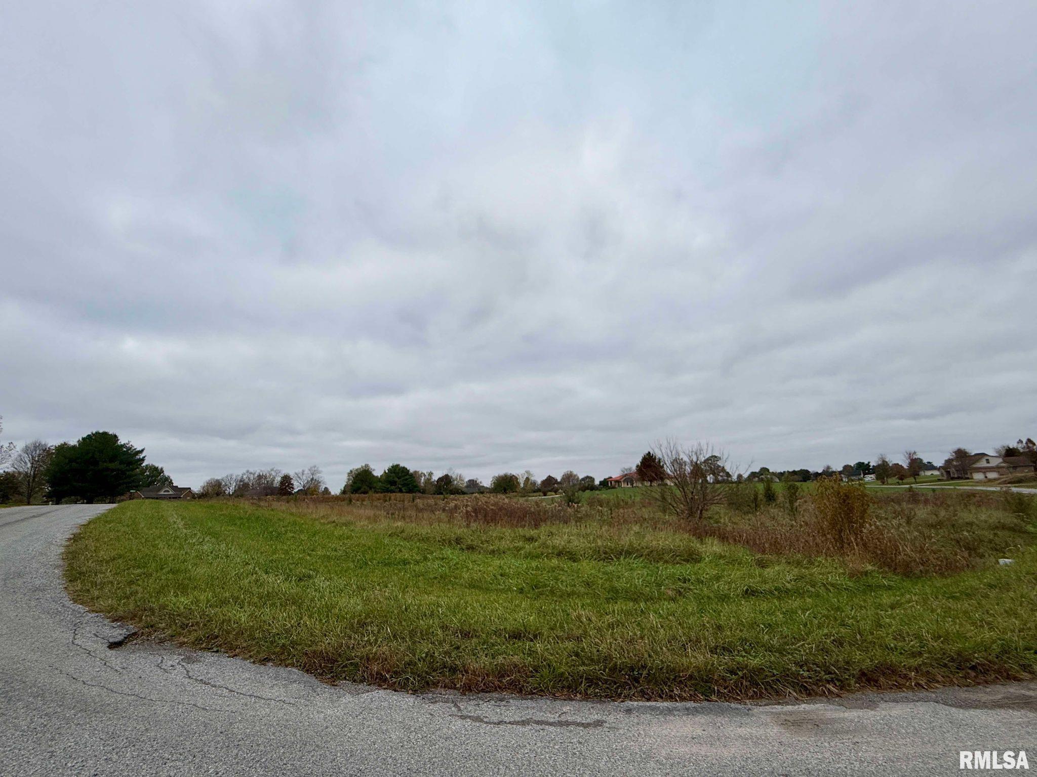 0 Clark Lane Metropolis, IL 62960 - Photo 6 of 7