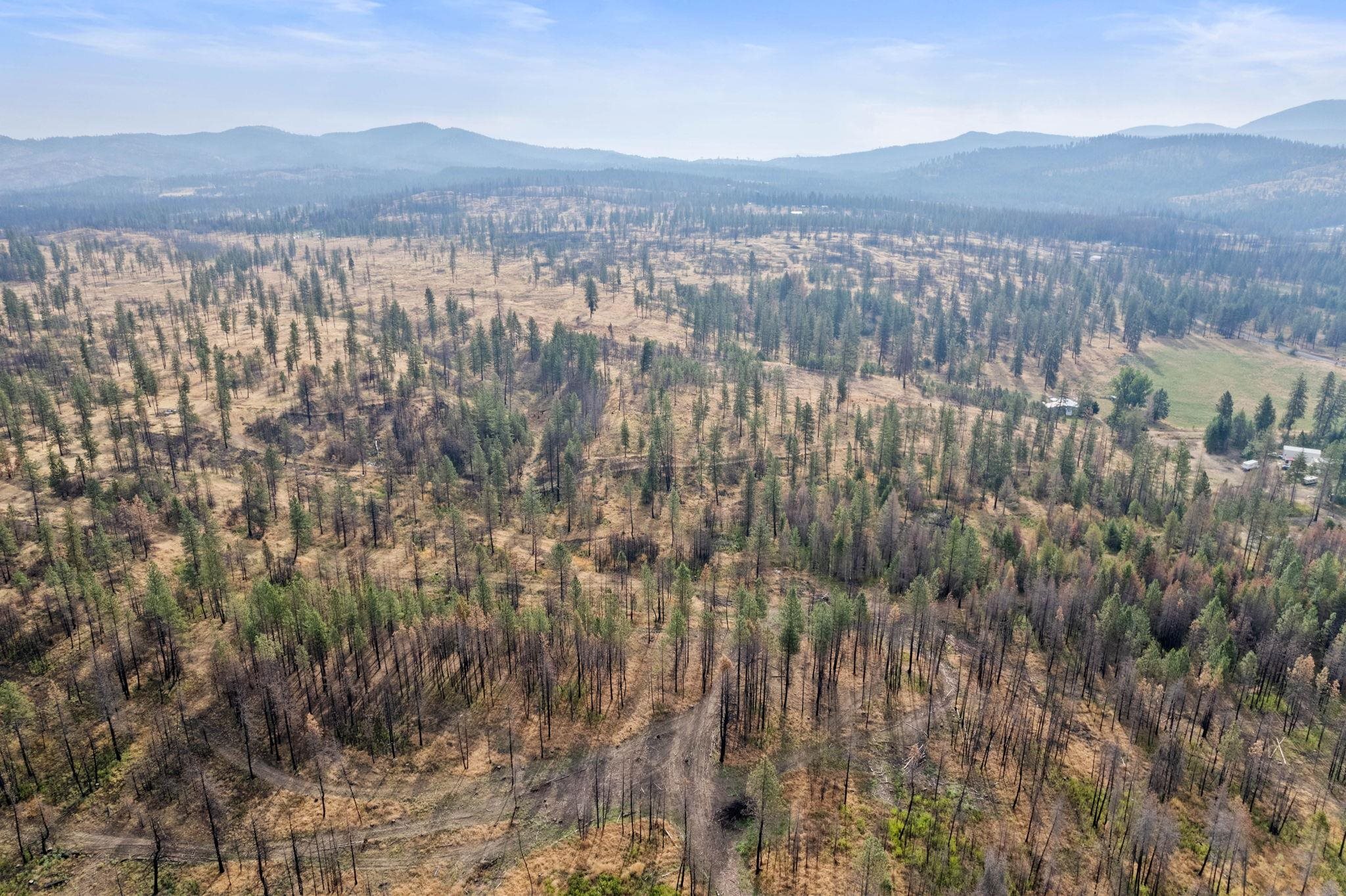 13085 East Nelson (approx) Road Elk, WA 99009 - Photo 10 of 19