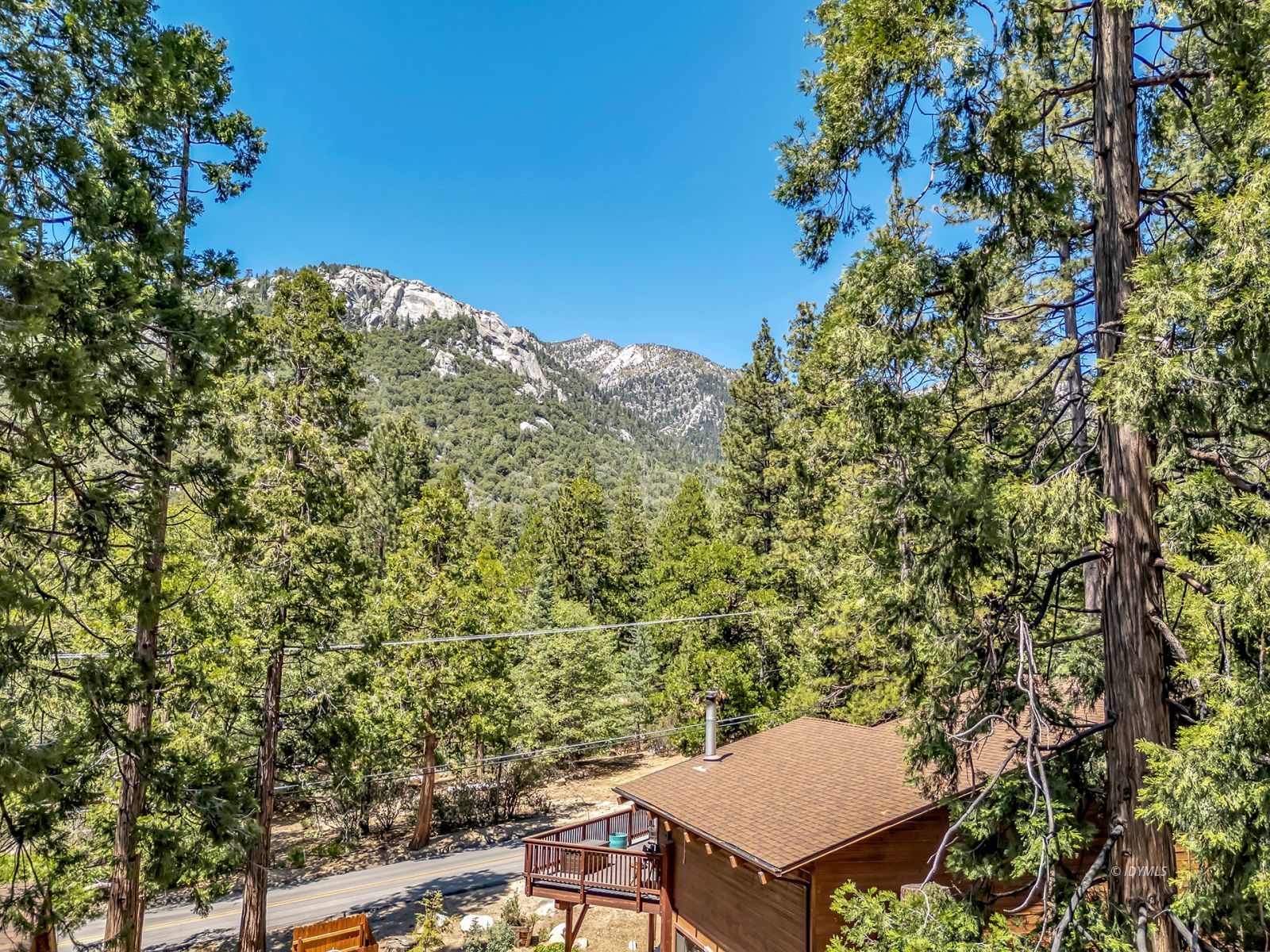 24924 Fern Valley Road Idyllwild, CA 92549 - Photo 5 of 72 a view of a balcony with a tree