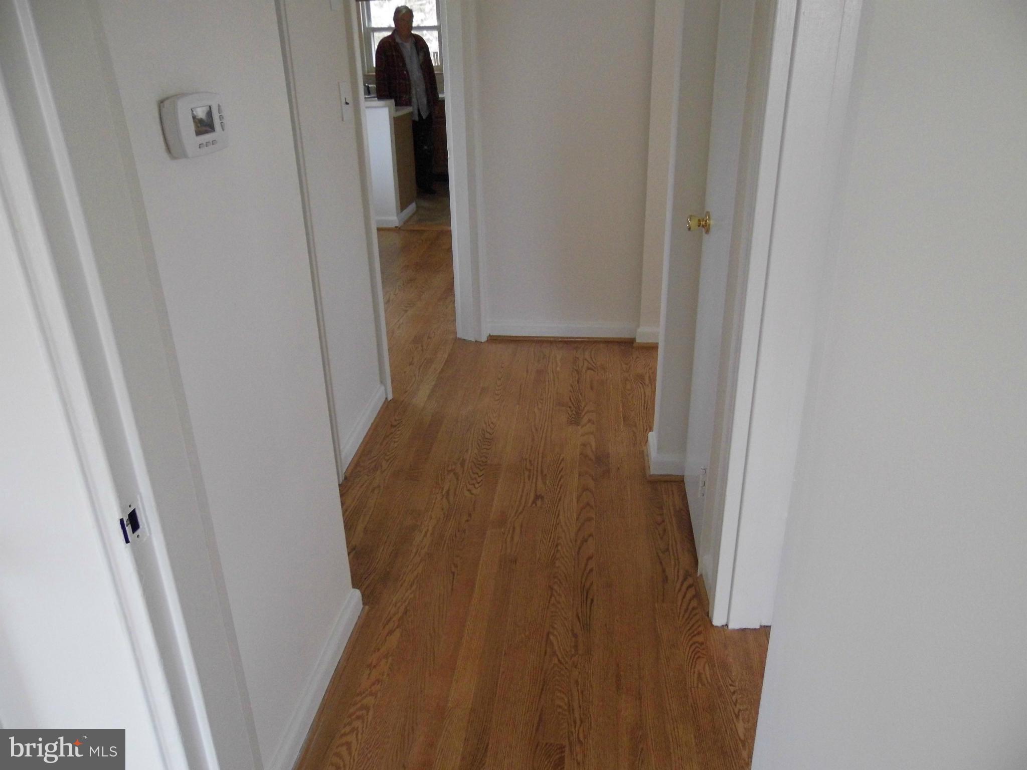 2913 Hardy Avenue Silver Spring, MD 20902 - Photo 11 of 26 Main Hallway