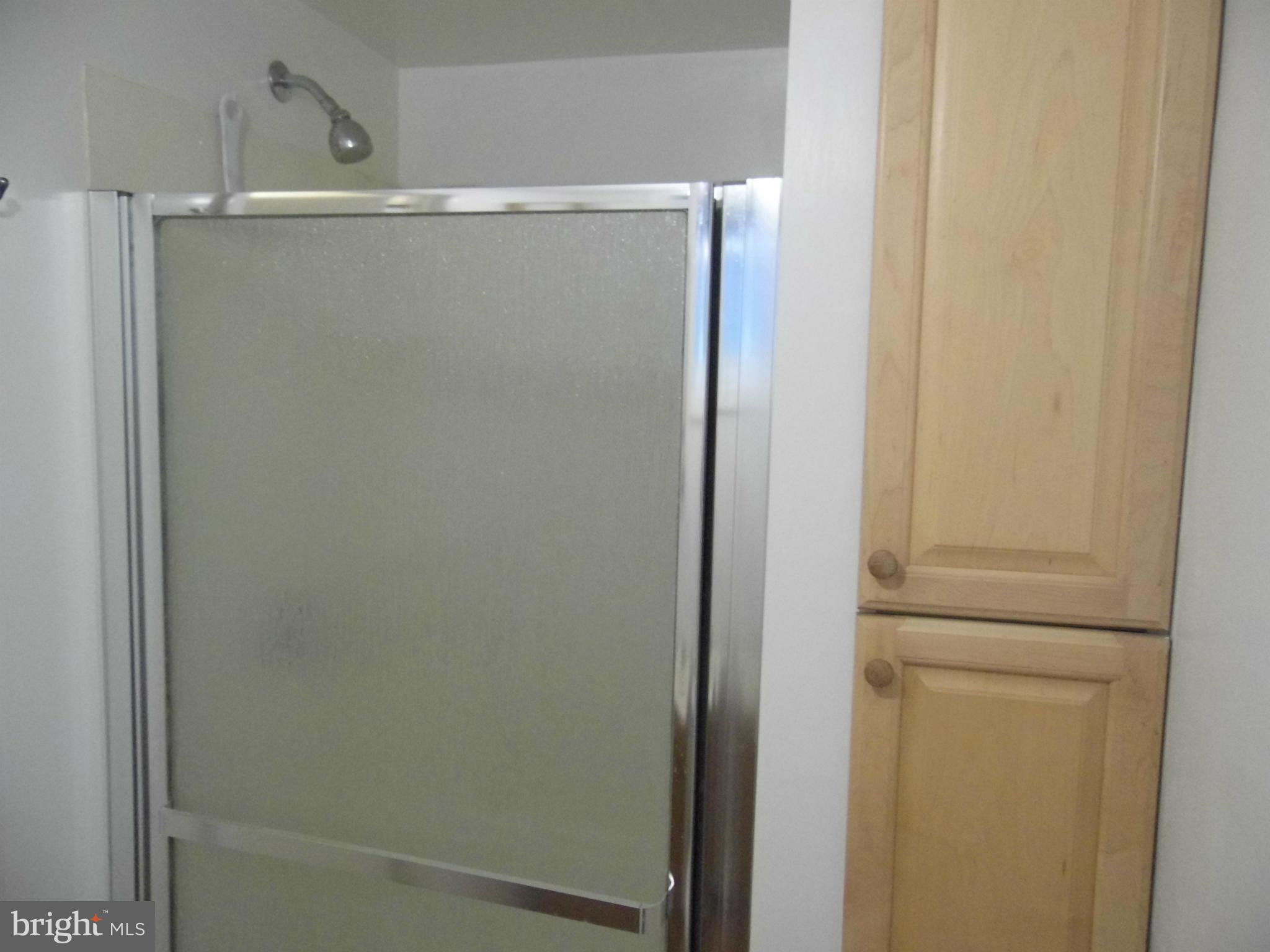 2913 Hardy Avenue Silver Spring, MD 20902 - Photo 22 of 26 Lower Level Bath
