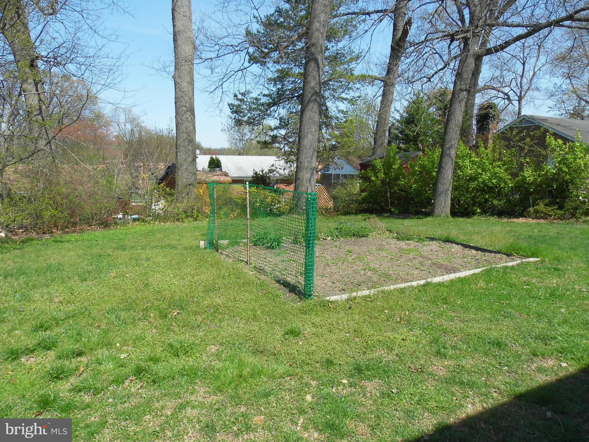 2913 Hardy Avenue Silver Spring, MD 20902 - Photo 5 of 26 Back Yard