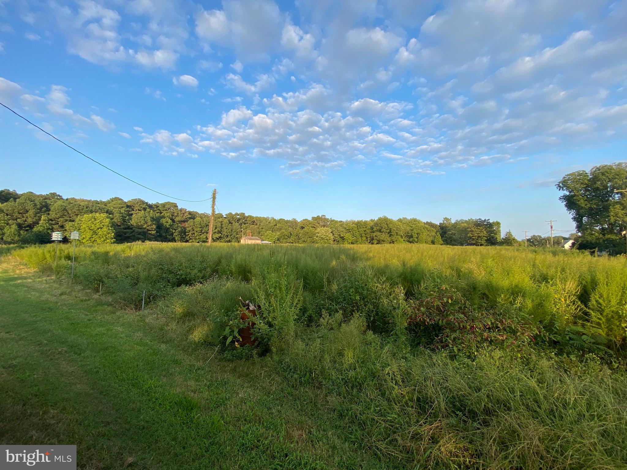 6251 Taylor Landing Road Girdletree, MD 21829 - Photo 23 of 23 Additional acerage needs to be mowed