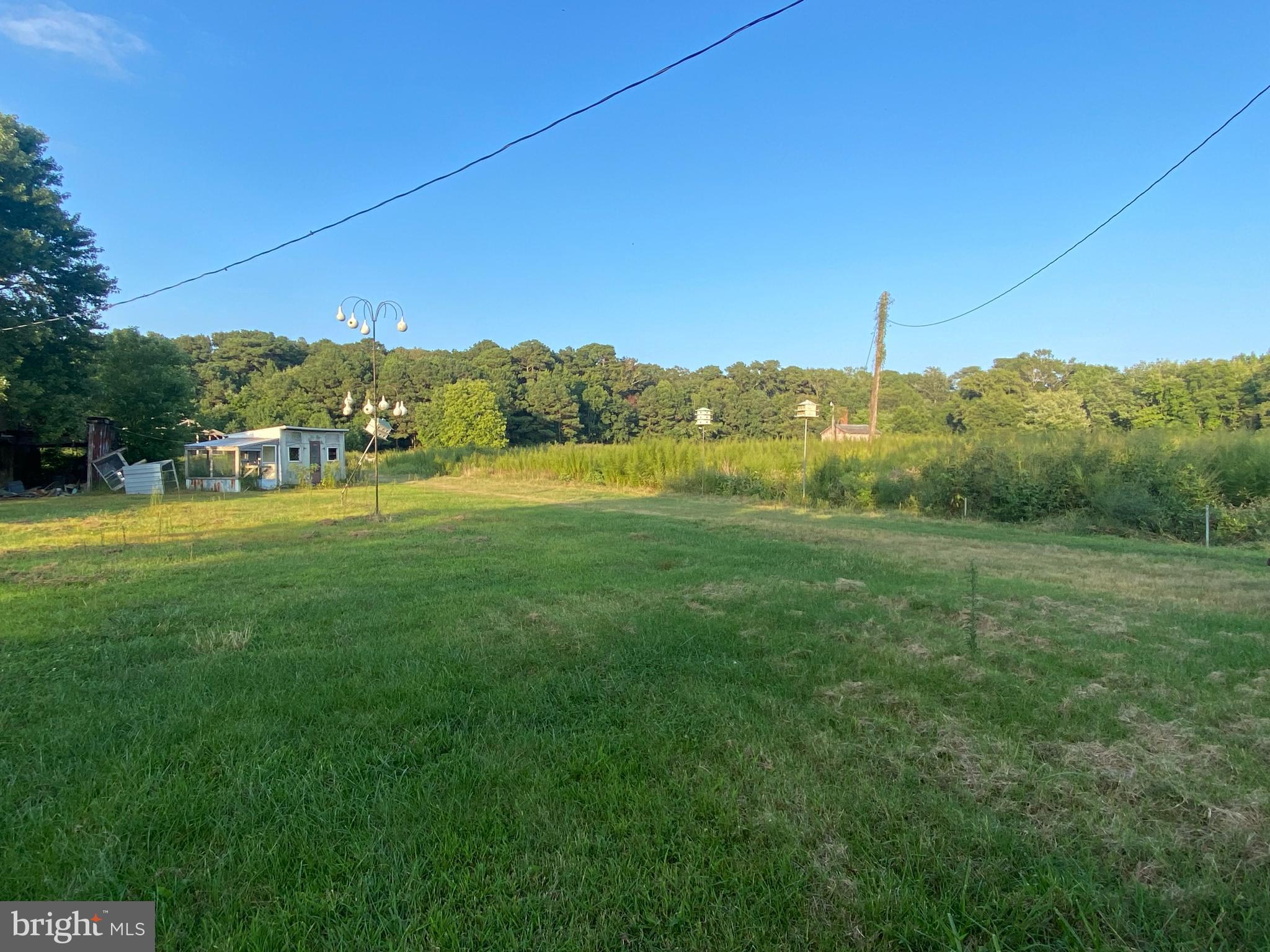 6251 Taylor Landing Road Girdletree, MD 21829 - Photo 7 of 23 Yard View