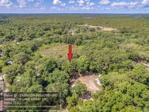 $229,900 | 12 Lake Essay Drive, Panacea, FL 32346