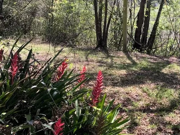 $229,900 | 12 Lake Essay Drive, Panacea, FL 32346