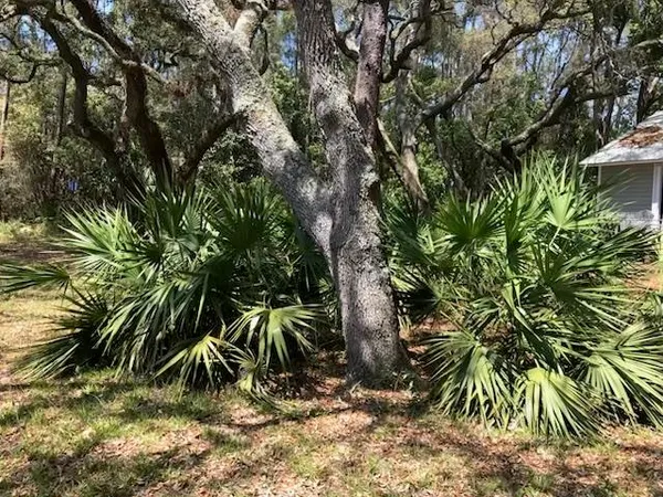 $229,900 | 12 Lake Essay Drive, Panacea, FL 32346