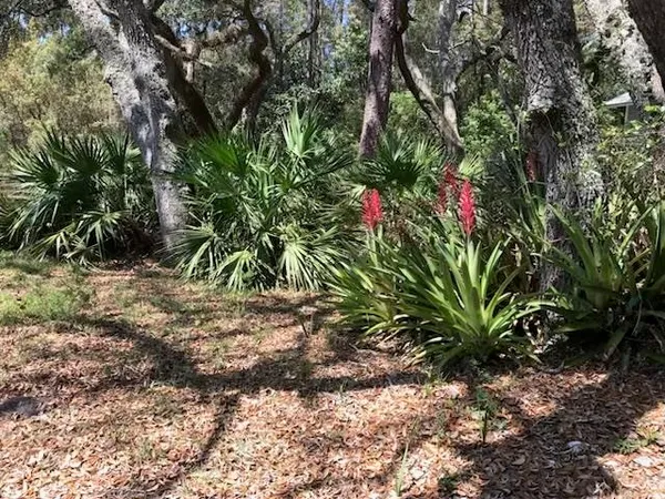 $229,900 | 12 Lake Essay Drive, Panacea, FL 32346